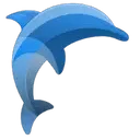 DSRE